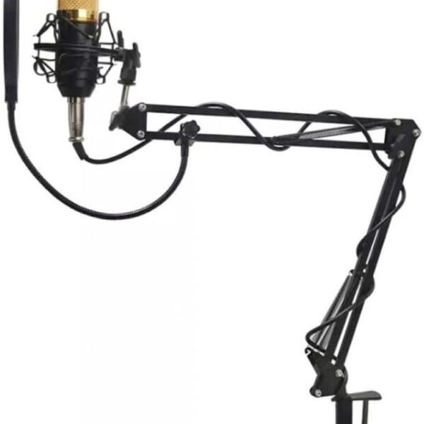 Kit Microfone Profissional Completo Bm800 Dourado com Pop Filter Aranha Braço Articulado