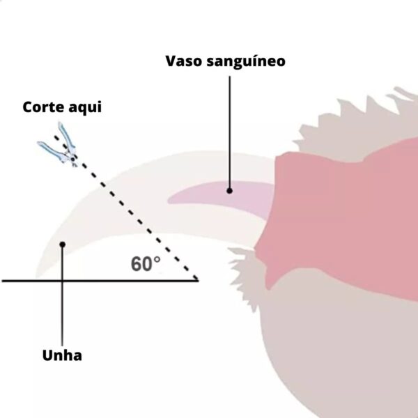 Kit Alicate Para Pet Tesoura Azul Corte De Unhas Cães E Gatos Lixa Cortador