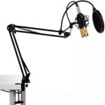 Kit Microfone Profissional Completo Bm800 Dourado com Pop Filter Aranha Braço Articulado - Imagem 2