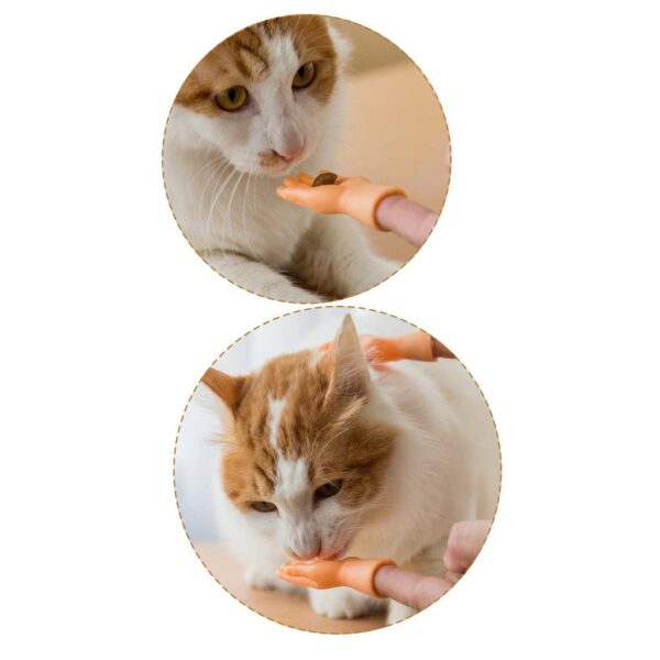 Par de Mãozinhas Brinquedo Pet Cachorro Gato