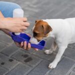 Bebedouro Pet Portátil 500ml para Passeio com Cachorro - Imagem 4