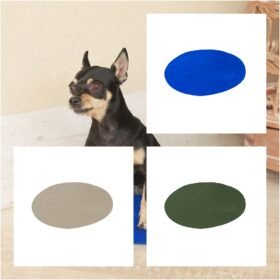 Tapete Colchonete Gelado Pet Pequeno Redondo 34x34cm