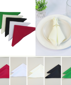 Kit 10 Pçs Guardanapo 10 Lugares Basic 35x35cm Liso Tecido Oxford